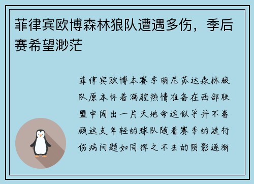 菲律宾欧博森林狼队遭遇多伤，季后赛希望渺茫